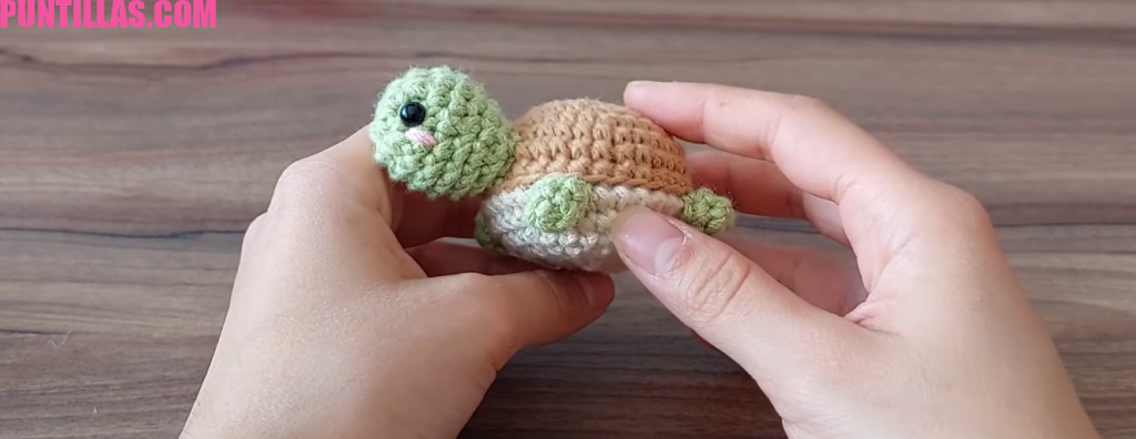 Tortuguita Amigurumi a Crochet 🐢